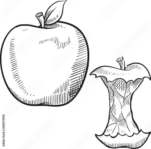 Doodle style apple and apple core vector illustration