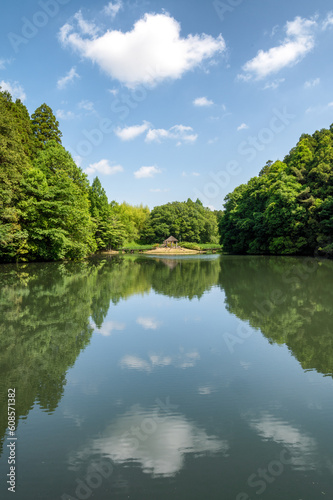 茨城県水戸市　新緑の七ツ洞公園