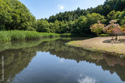 Fototapeta Naklejka Na Ścianę i Meble -  茨城県水戸市　新緑の七ツ洞公園