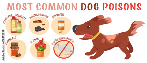 What is poisonous to dogs. Editable vector illustration
