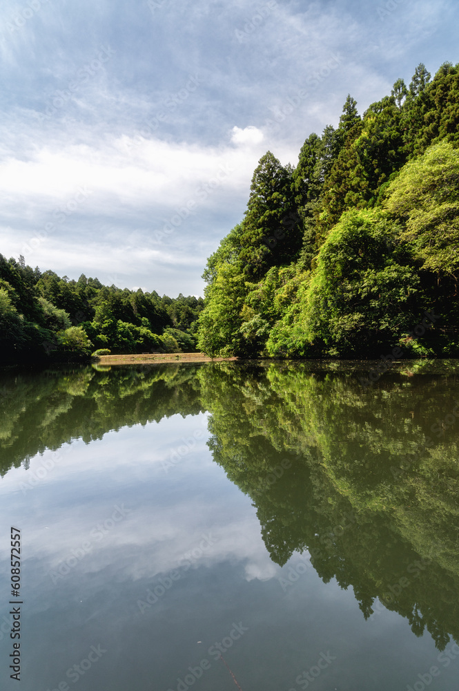 茨城県水戸市　新緑の七ツ洞公園