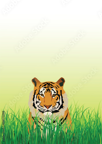 Vector illustration of tiger