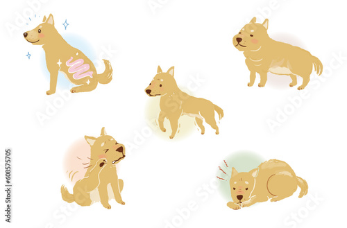 犬の健康、不健康、ペットの不調あれこれ