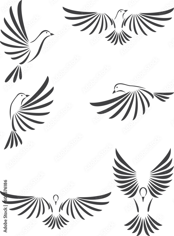 Dove vector illustration Dove vector illustration