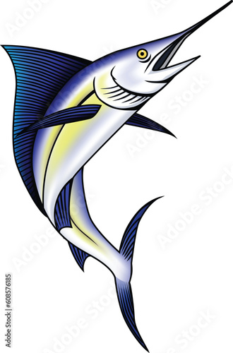 Marlin illustration