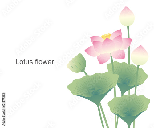 蓮の花のイラスト素材 ベクター お盆 お彼岸 夏 仏教