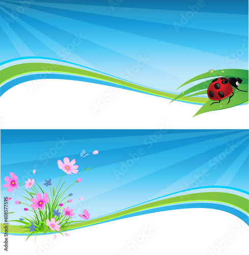 vector blue spring banner with flowers and ladybird