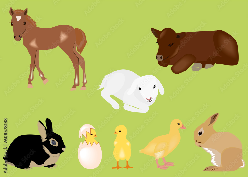 Illustration of different kind of easter spring baby animal Illustration of different kind of easter spring baby animal
