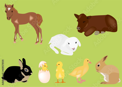 Illustration of different kind of easter spring baby animal
