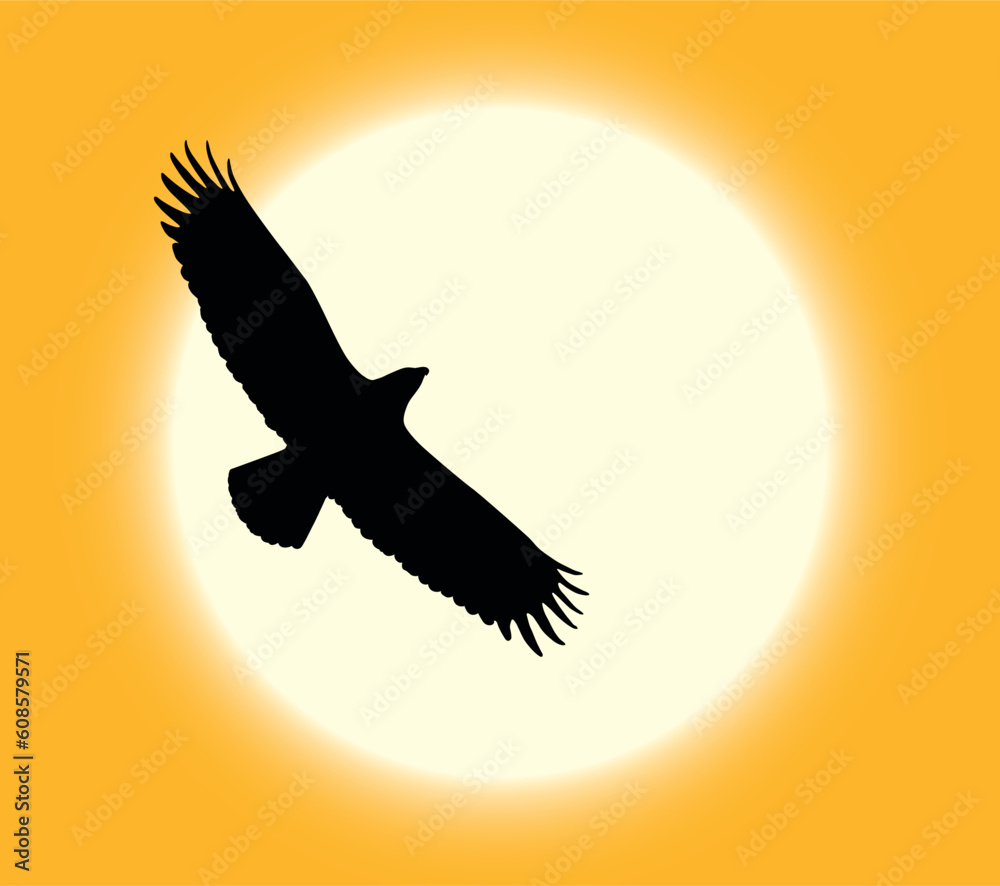 Obraz premium Silhouette of flying eagle on sun background