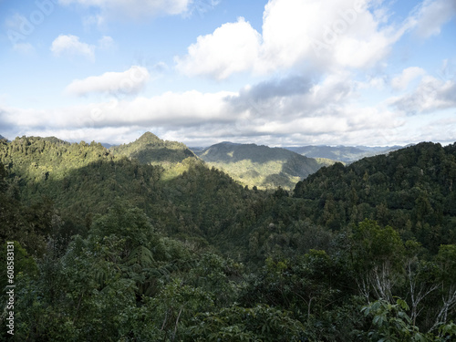 Te Urewera rainforest and mountains
