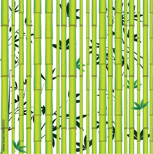 Bamboo seamless asian tropic forest. Wood vector leaf background.