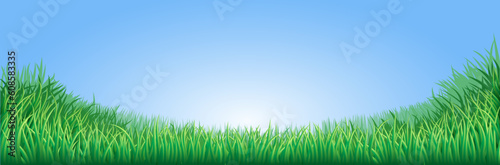 A lush green field meadow or lawn with bright blue sky