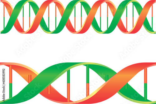 illustration of a dna string isolated on white background