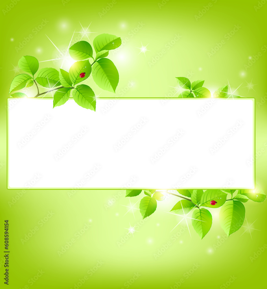 luxury shining green vector banner with leaves