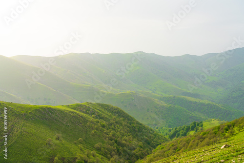 Mountain landscape covered with green forest