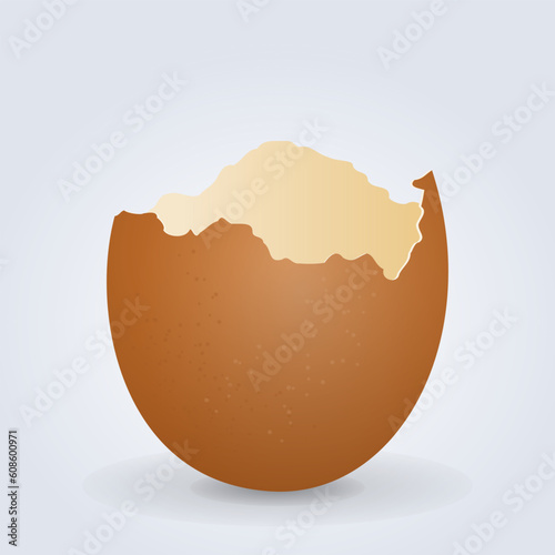 Illustration of Cracked Brown Egg Shell on bright background