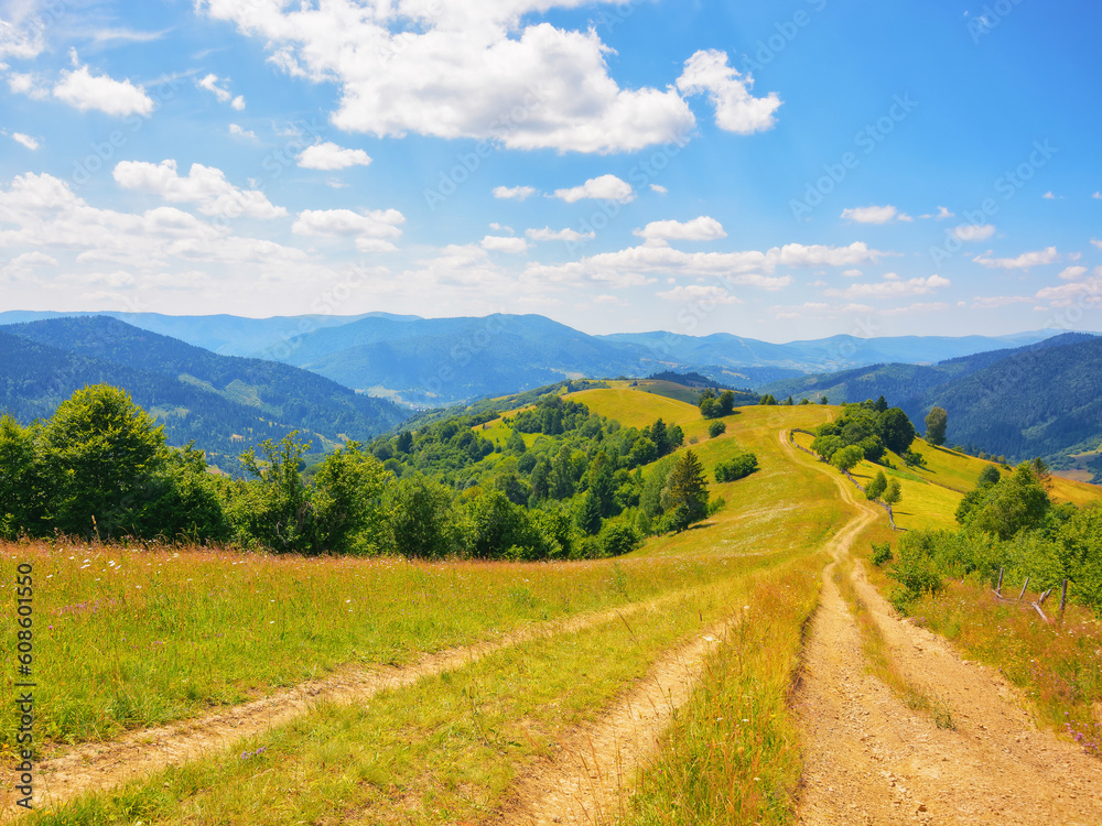path through hills and grassy meadows. explore the mountainous countryside of transcarpathia. summer vacations in ukraine path through hills and grassy meadows. explore the mountainous countryside of transcarpathia. summer vacations in ukraine