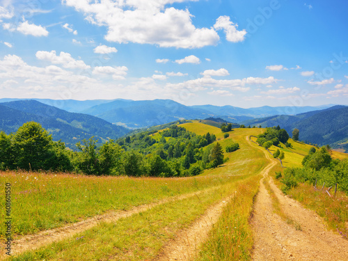 path through hills and grassy meadows. explore the mountainous countryside of transcarpathia. summer vacations in ukraine