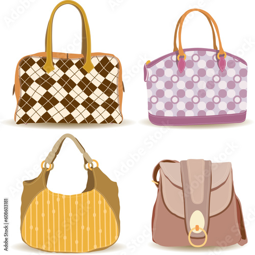 vector illustration of luxury and expensive woman handbag