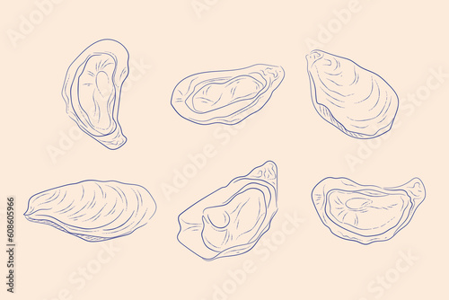 mussels hand drawn vector llustrations