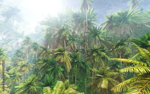 Jungle  beautiful rainforest in the fog  palm trees in the haze  jungle in the morning in the fog  3D rendering