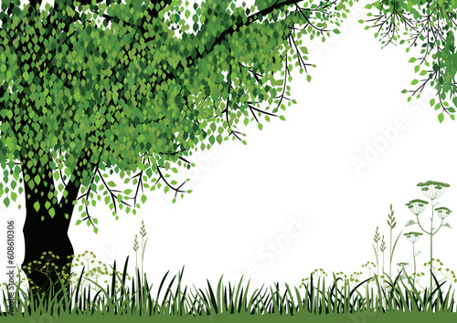 Green tree and meadow on white background with space for your text. Full scalable vector graphic included Eps v8 and 300 dpi JPG