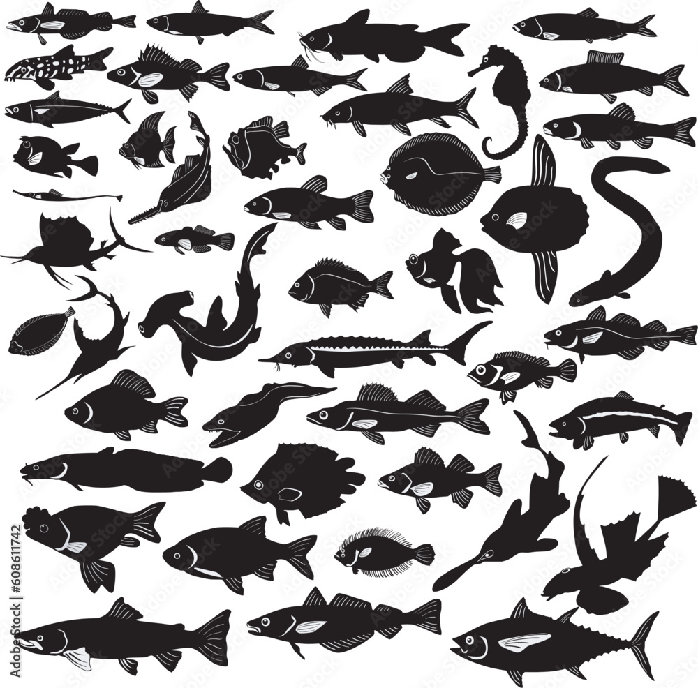 The set of silhouettes of the different fishes The set of silhouettes of the different fishes