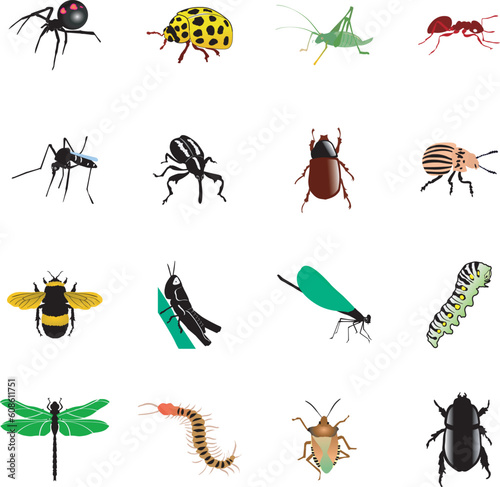 the set of the different kinds of insects and spiders