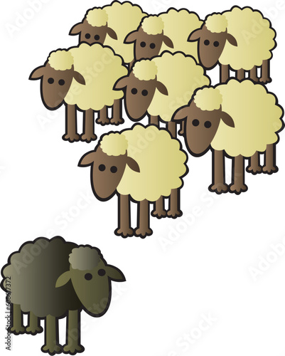 A black sheep being shunned from the rest of the flock for being different.