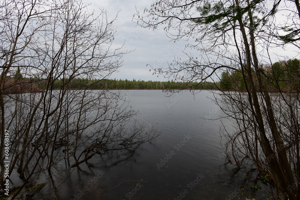 Fototapeta premium impressions from a hike around a peaceful lake