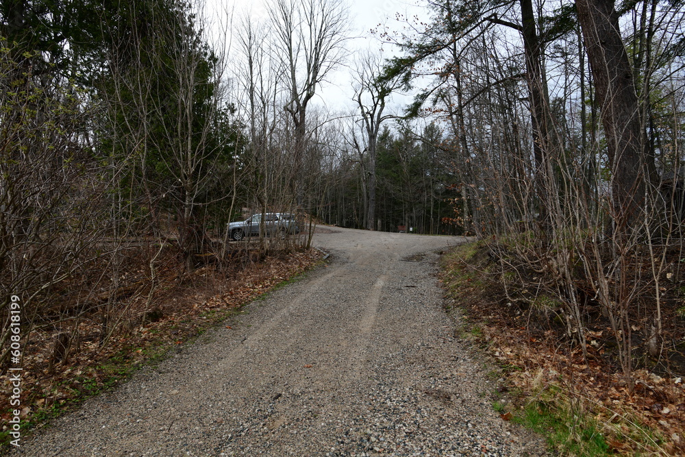 Fototapeta premium rural road through a forest