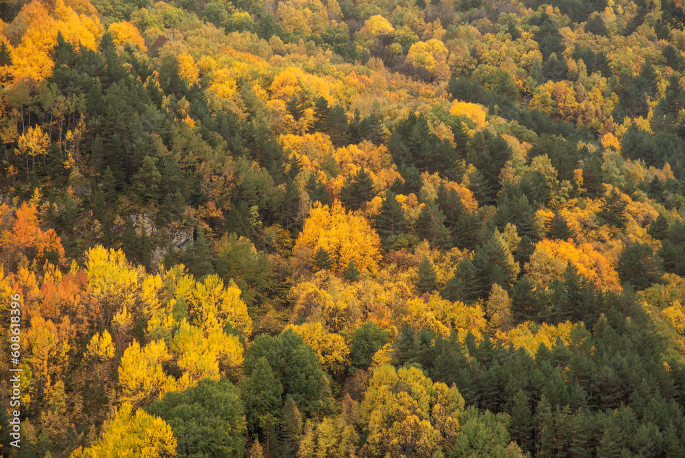 Detail shot of a high mountain landscape during autumn, forest with deciduous trees with their orange leaves and others of an intense green colour in Huesca, Aragon.