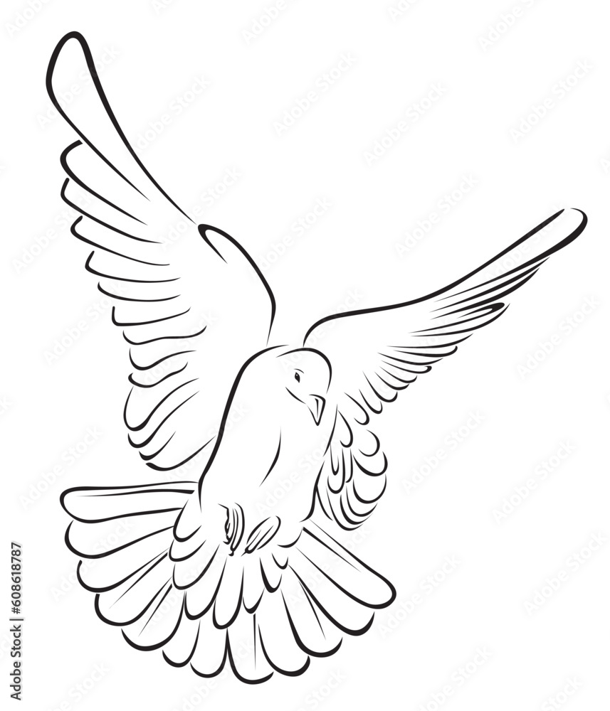 pigeon in brush stroke Vector Illustration pigeon in brush stroke Vector Illustration