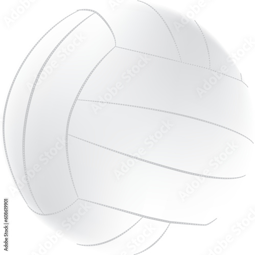 Illustration/Image of a volleyball