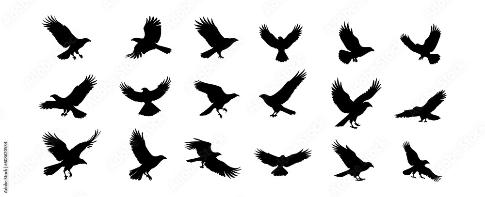 Eagle silhouette vector set isolated on white background. Flying wildlife birds design vector illustration Eagle silhouette vector set isolated on white background. Flying wildlife birds design vector illustration