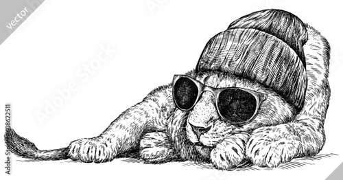 Vintage engraving isolated lion king set glasses dressed fashion illustration ink sketch. Africa wild cat background animal silhouette sunglasses hipster hat art. Hand drawn vector image