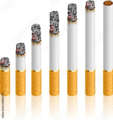 Set of Cigarettes During Different Stages of Burn.