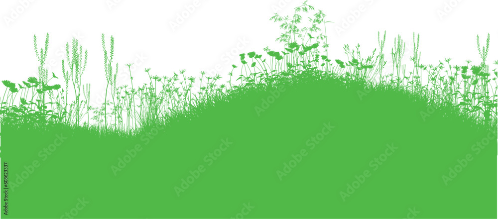 Nature background with silhouettes of grass, weeds and flowers