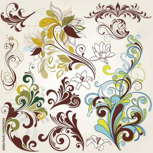illustration drawing of floral design elements