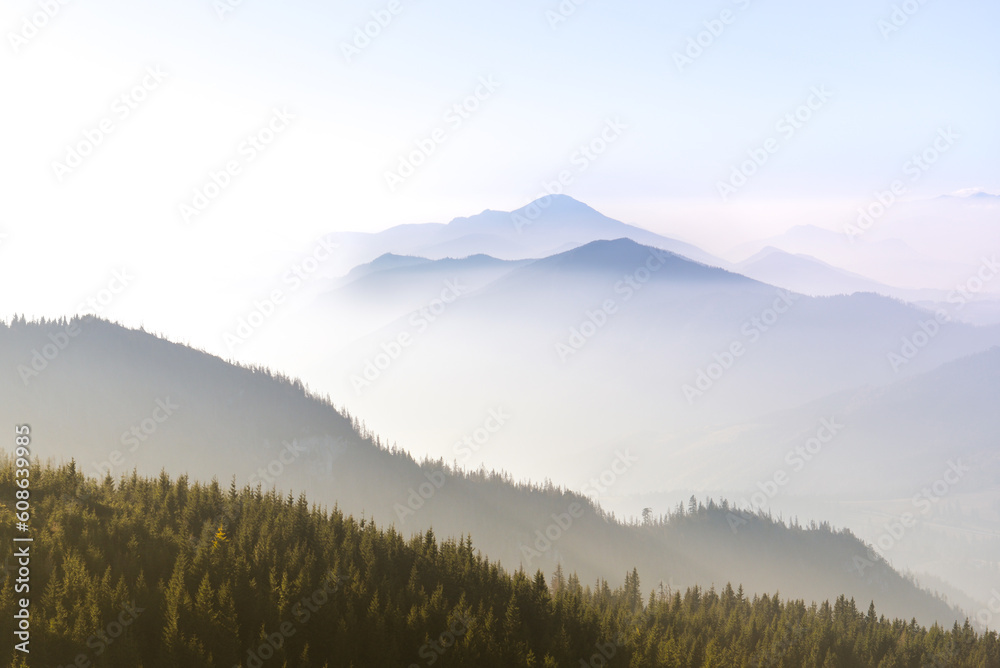 Beautiful view of the mountains with knee timber and clear blue sky on peaks in a fogg. West Tatras, Slovakia.