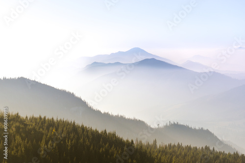 Beautiful view of the mountains with knee timber and clear blue sky on peaks in a fogg. West Tatras, Slovakia.