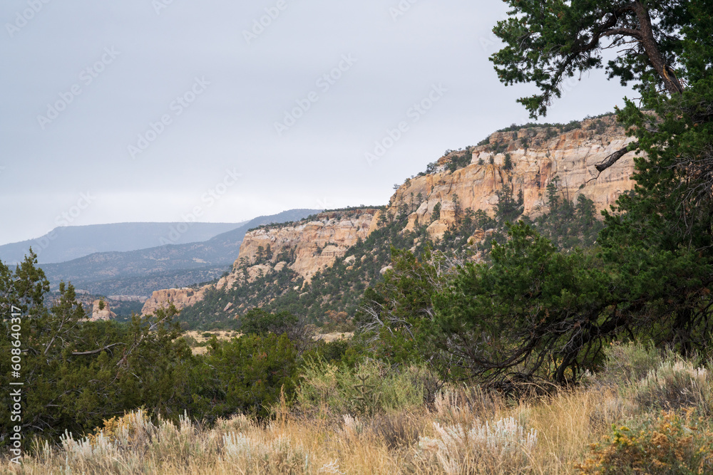 Cliffs and Arid Landscape, El Malpais National Monument