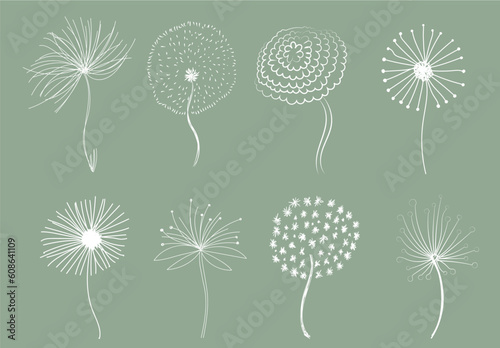 Hand drawn fluffy dandelion. Set of abstract graphic doodle dandelions. Design element for fabric, wrapping paper, congratulation cards, print, banners. Black and White vector illustration. EPS 10.