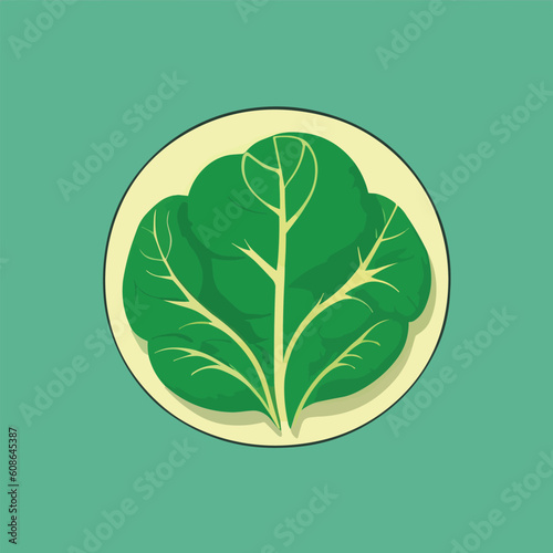 Vector illustration of fresh and juicy spinach