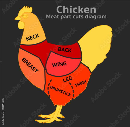 Chicken meat part cuts diagram. Breast, halves thighs, drumsticks, wings, leg, back, neck, breast thigh. Poultry, turkey, birds whole eaten pieces. Butchers Red pink black body. Illustration vector
