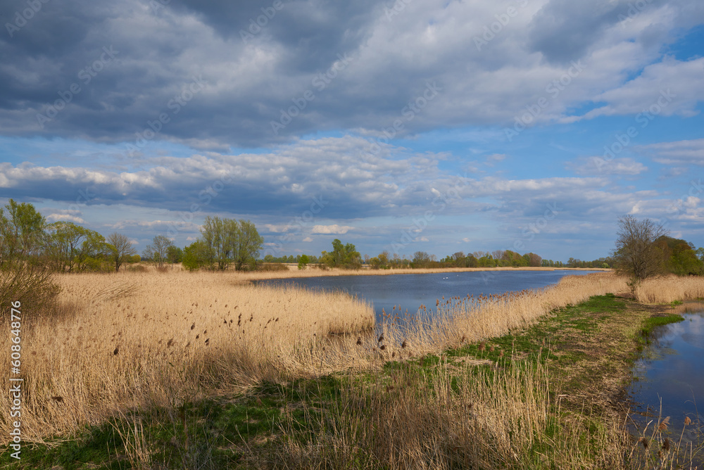 Teichland Linum im Frühjahr in Brandenburg	