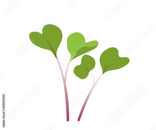Green sprouts microgreen concept. Gardening and agriculture, horticulture. Environment, ecology and nature. Template, layout and mock up. Cartoon flat vector illustration isolated on white background © Mental Health