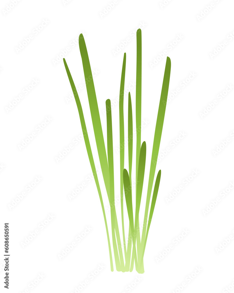 Green sprouts microgreen concept. Grass, landscape element. Agriculture and farming, gardening, horticulture. Poster or banner. Cartoon flat vector illustration isolated on white background Green sprouts microgreen concept. Grass, landscape element. Agriculture and farming, gardening, horticulture. Poster or banner. Cartoon flat vector illustration isolated on white background