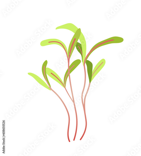 Green sprouts microgreen concept. Plants, nature and biology, environment. Fresh food and healthy eating. Template and mock up. Cartoon flat vector illustration isolated on white background